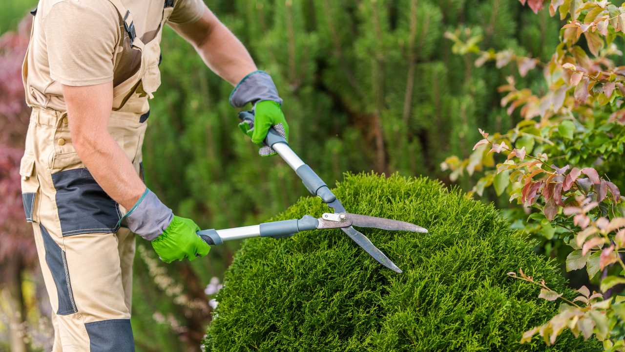 Gardening & Landscaping
